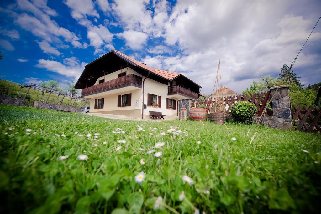 Farm Stay Žagar 莫济列 外观 照片