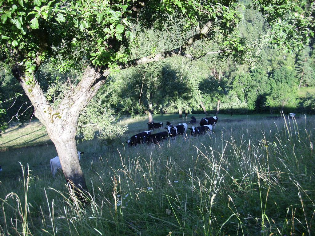 Farm Stay Žagar 莫济列 外观 照片