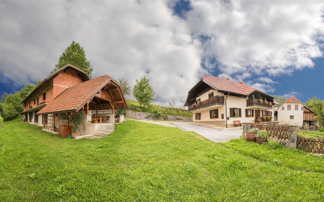 Farm Stay Žagar 莫济列 外观 照片