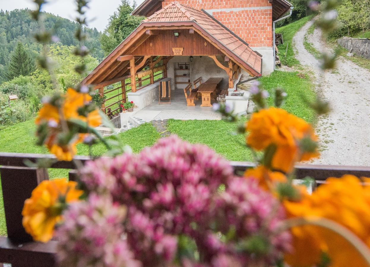 Farm Stay Žagar 莫济列 外观 照片