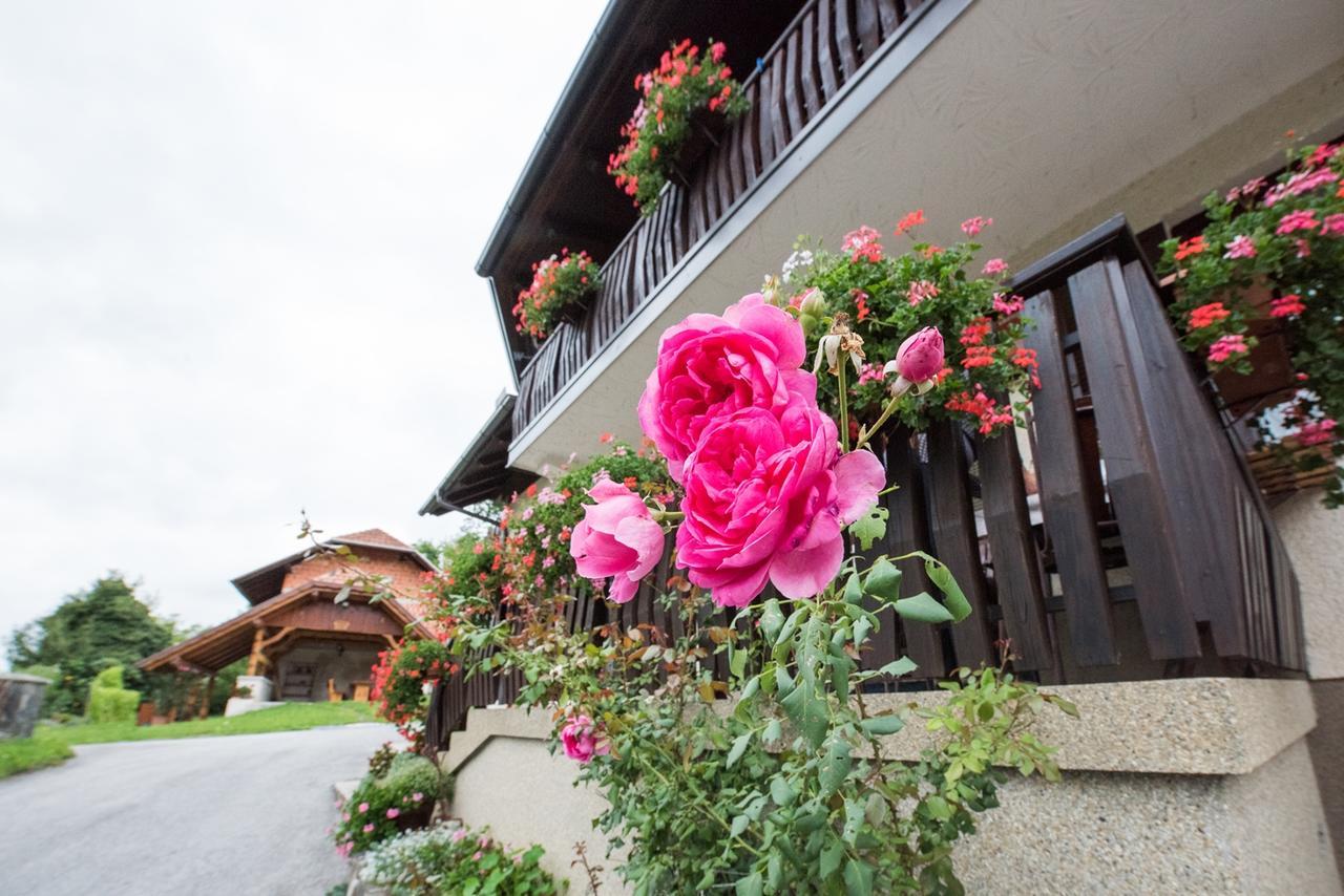 Farm Stay Žagar 莫济列 外观 照片